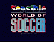 Sensible World of Soccer v1.1