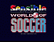 Sensible World of Soccer 95/96