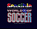 Sensible World of Soccer Eurosoccer