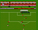 Sensible World of Soccer v 0.9